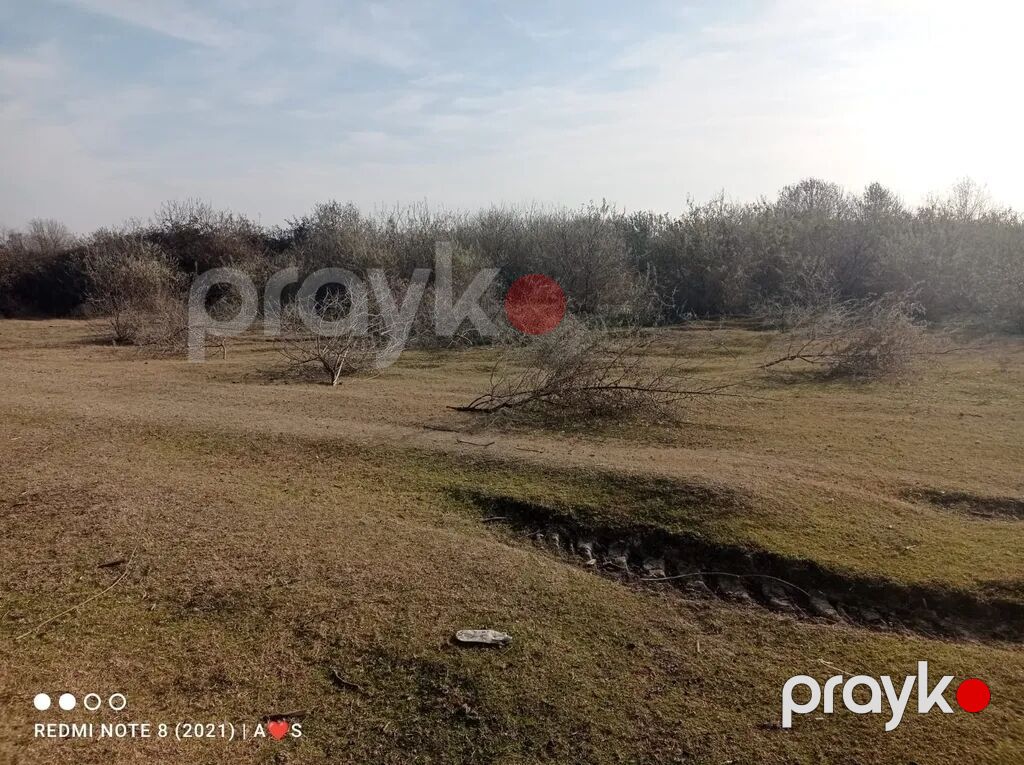 Kənd təsərrüfatı — Torpaq, Bakı (6)