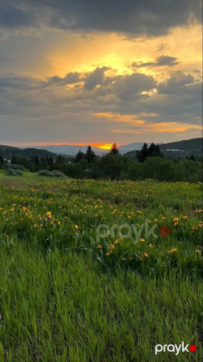 Satılır torpaq 50 sot — Torpaq, Qəbələ