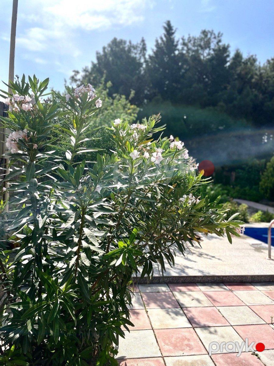 Bağ evi, Nardaran qəs — Ev, villa, Bakı (5)