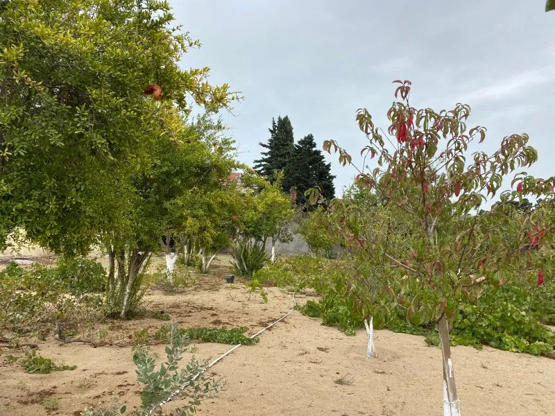 Mərdəkan, Torpaq satılır - 24 sot — Torpaq, Bakı (4)