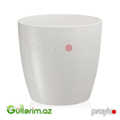 Plastik Dibçək 09 — Bağ dekorasiyası, Bakı (2)