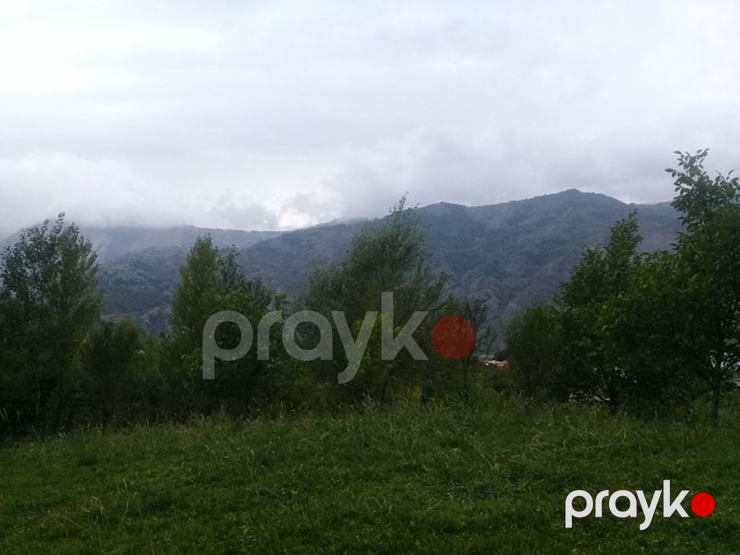 Satılır torpaq 16 sot — Torpaq, İsmayıllı (6)