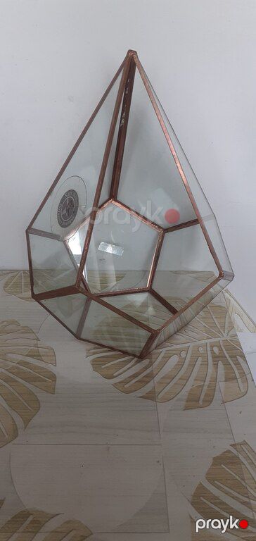 Terrarium — Dekor və interyeri, Bakı (2)