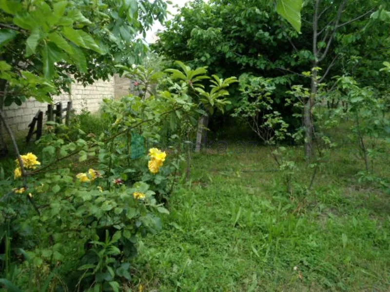 Satılır: 7 Otaq, Evlər/Villalar, Abşeron r., Masazır q., 450.00 m² — Ev, villa, Masazır (12)