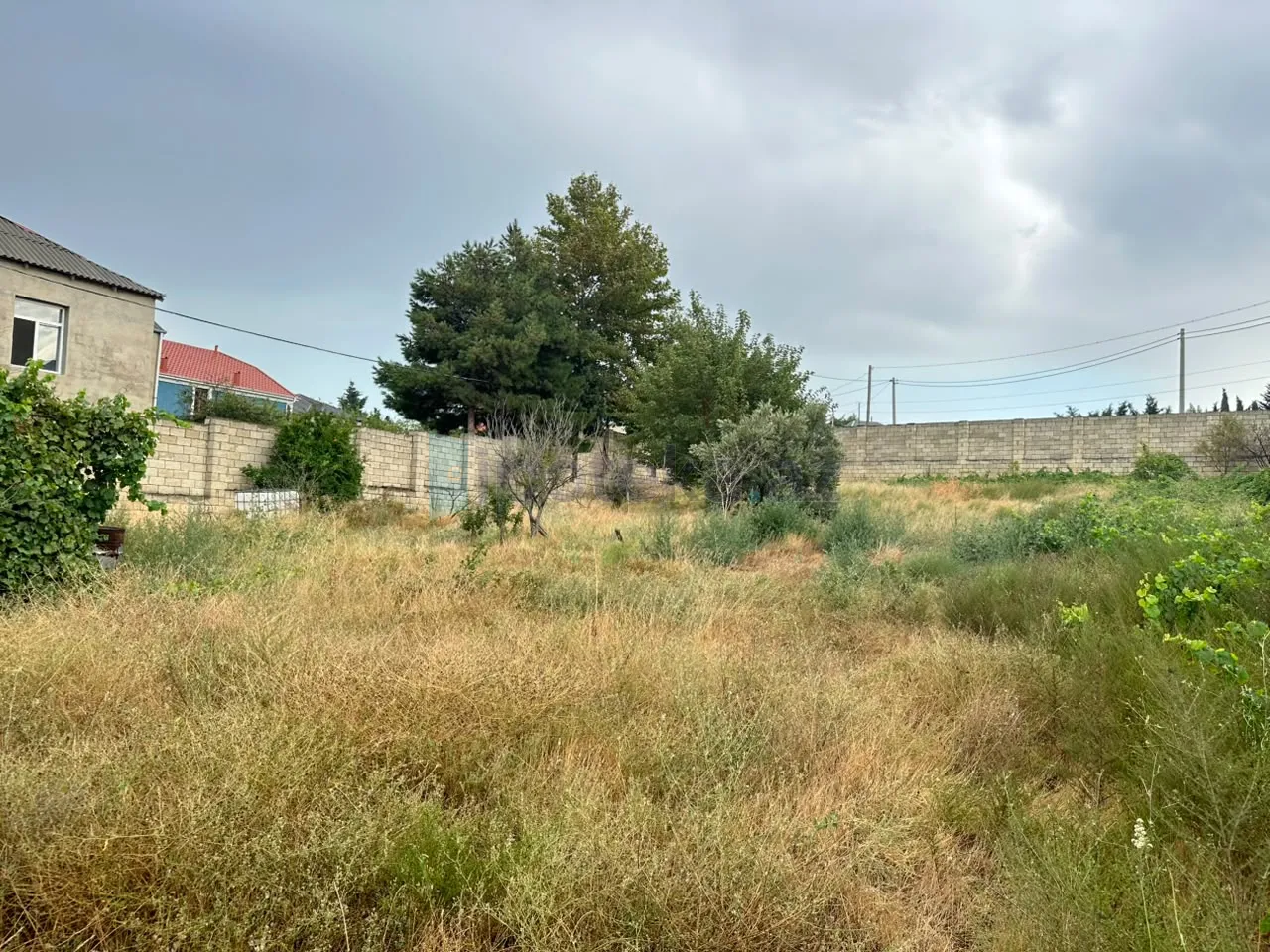 Satılır: Torpaq, Abşeron r., Saray q., 12.00 sot — Torpaq, Saray (5)
