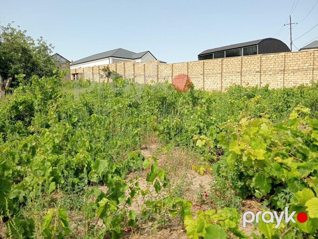 12 sot torpaq sahəsi, Novxanı qəs — Torpaq, Bakı (3)