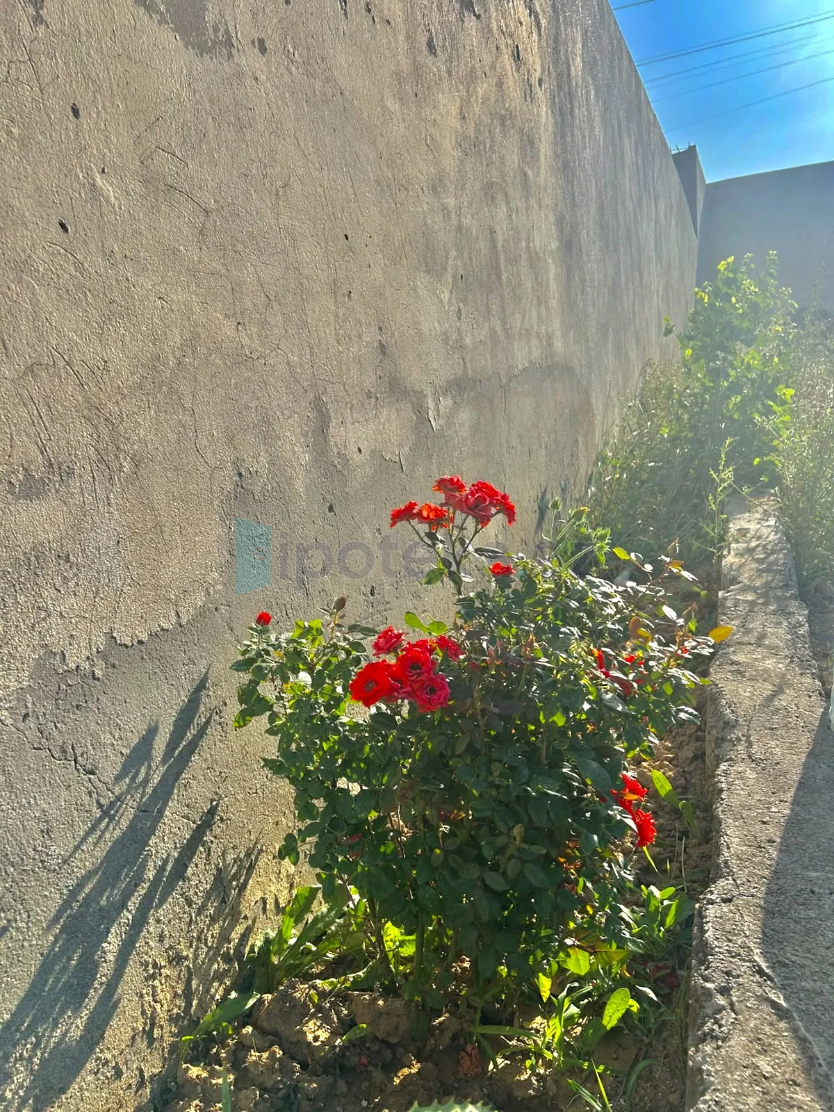 Satılır: 4 Otaq, Evlər/Villalar, Abşeron r., Qobu q., 130.00 m² — Ev, villa, Qobustan (4)