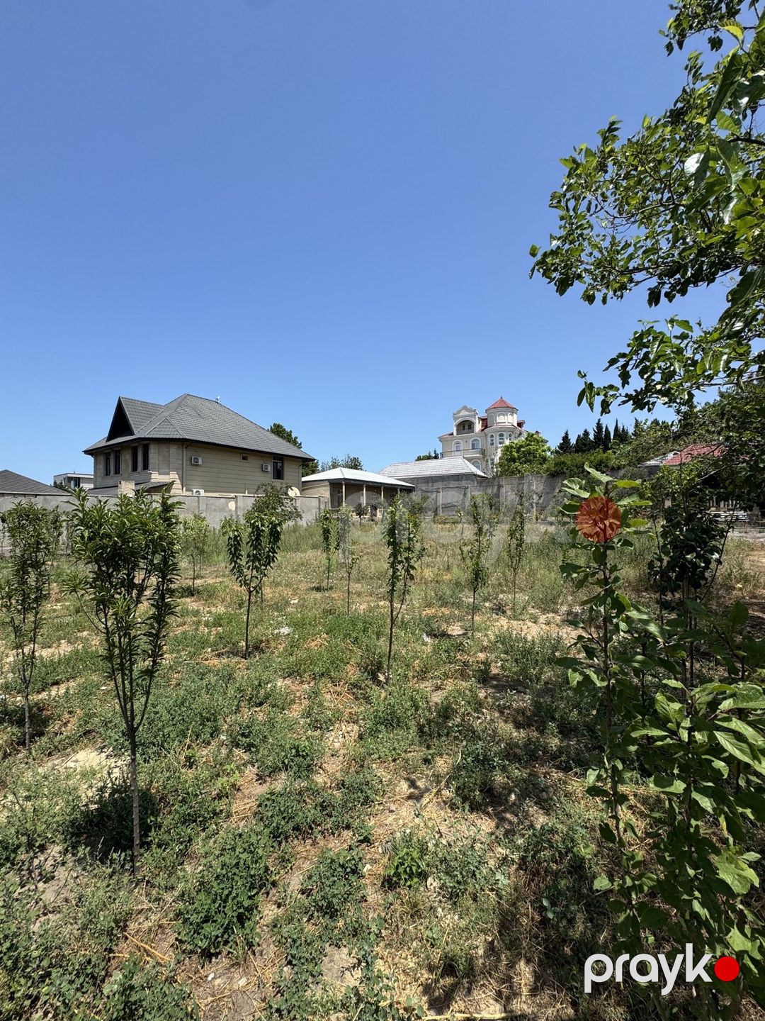 Satılır torpaq 17 sot — Torpaq, Bakı (6)