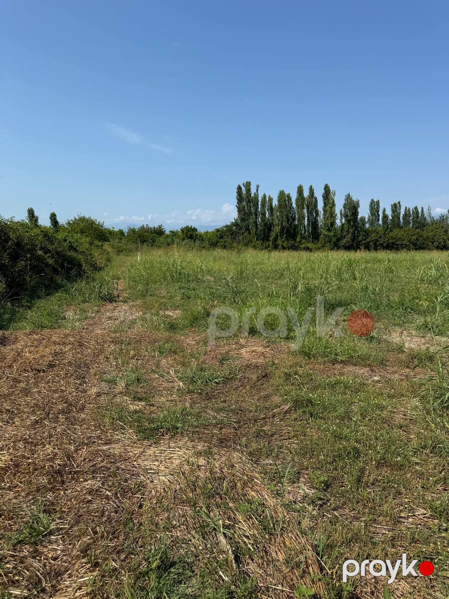 400 sot torpaq sahəsi, Qax r — Torpaq, Qax (4)