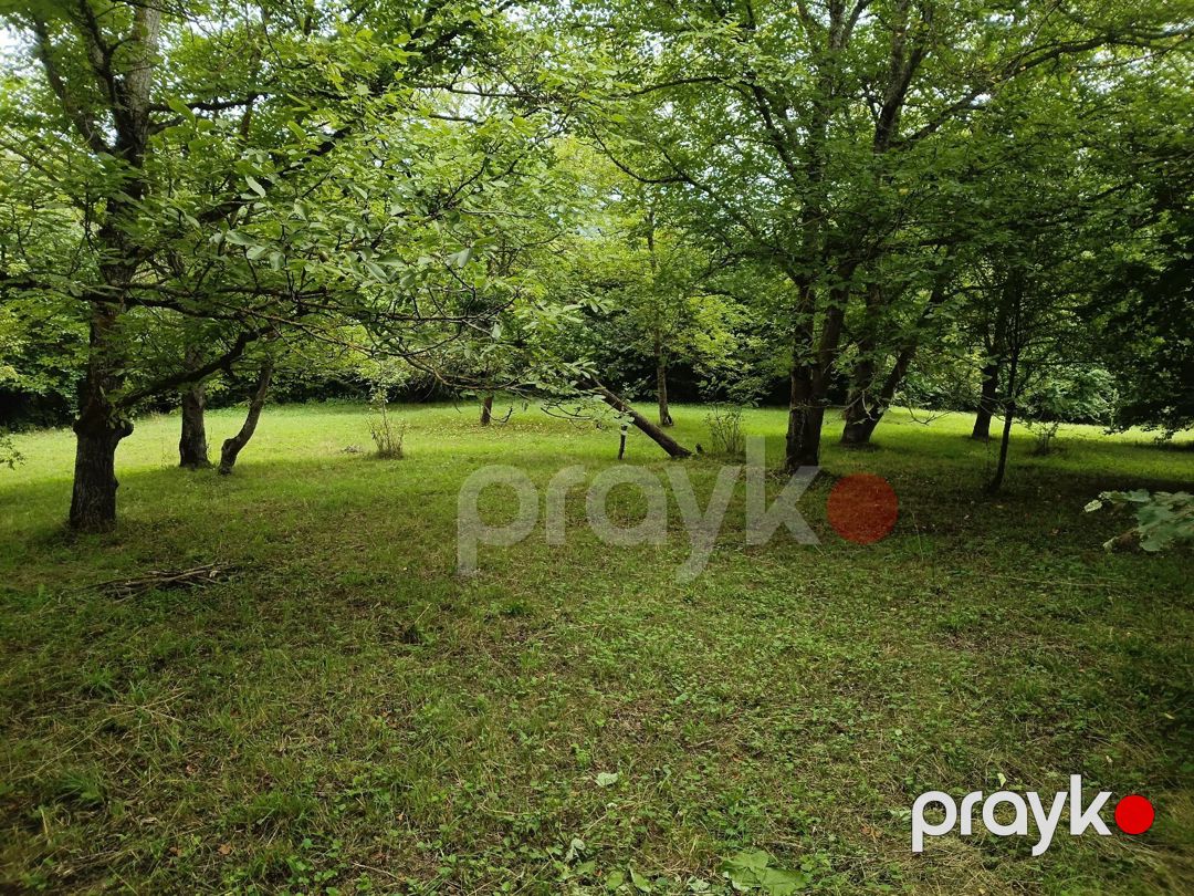15 sot torpaq sahəsi, Quba r — Torpaq, Quba (11)