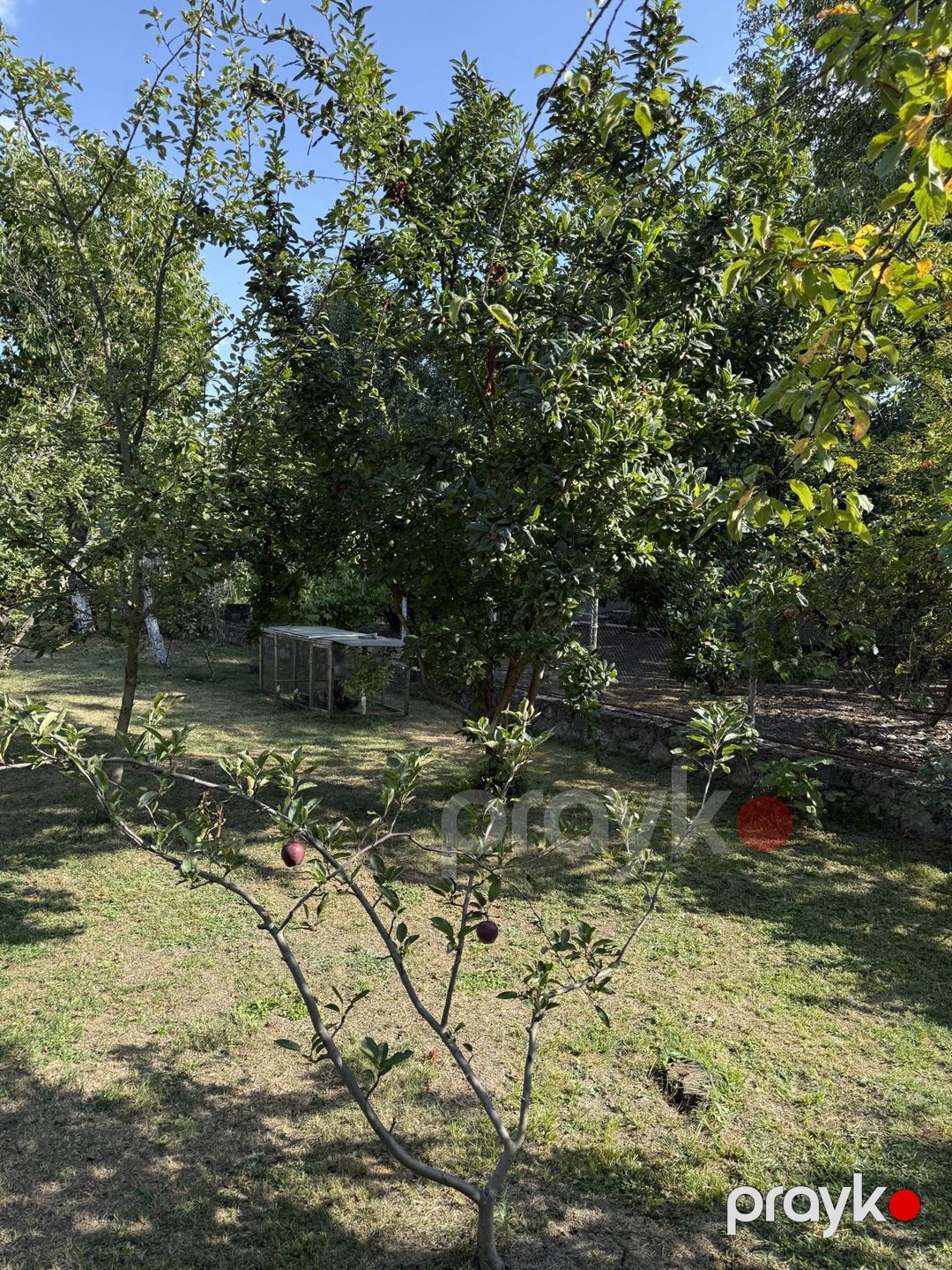 Satılır torpaq 8 sot — Torpaq, İsmayıllı (8)