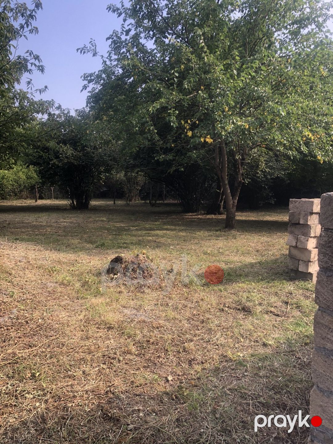 Satılır torpaq 13 sot — Torpaq, Qəbələ (8)