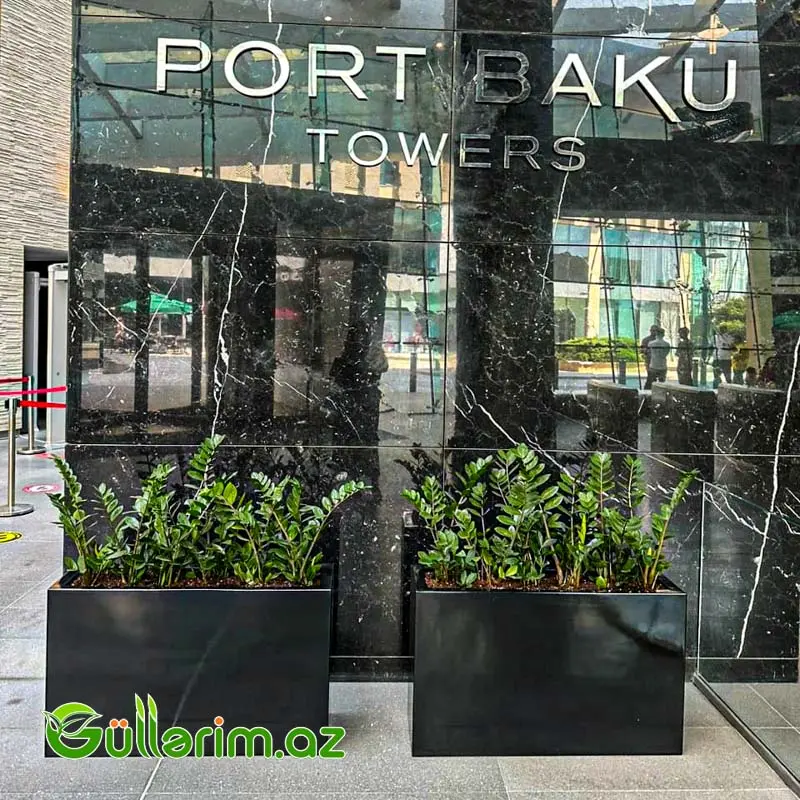 FiberGlass dibçək 80*50*30 sm (Fiber dibcek) — Bağ dekorasiyası, Bakı (2)