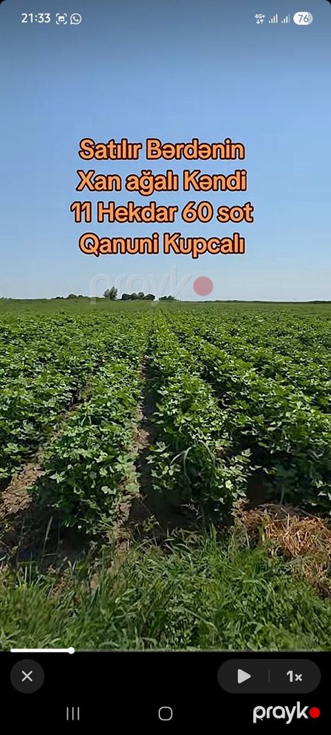 8.15 sot torpaq sahəsi, Bərdə r — Bərdə