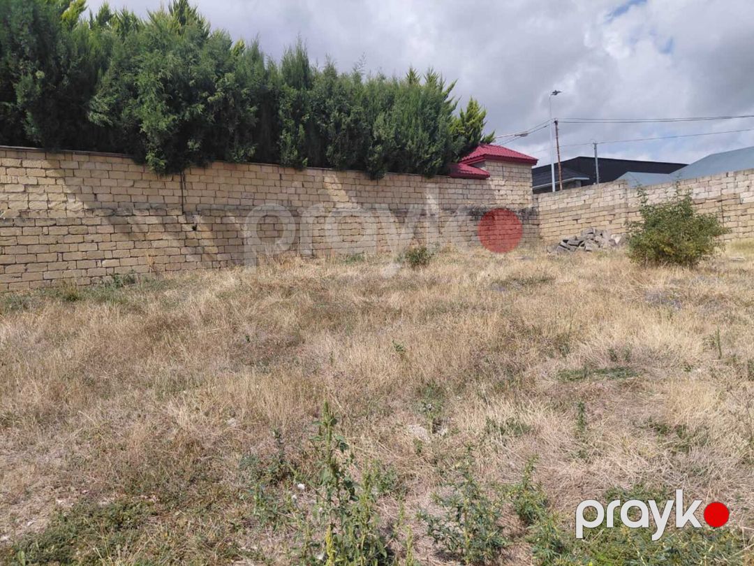 Satılır torpaq 11.3 sot — Torpaq, Şamaxı (5)