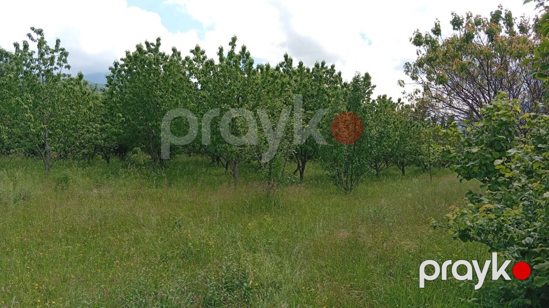 15 sot torpaq sahəsi, Quba r — Torpaq, Quba (2)