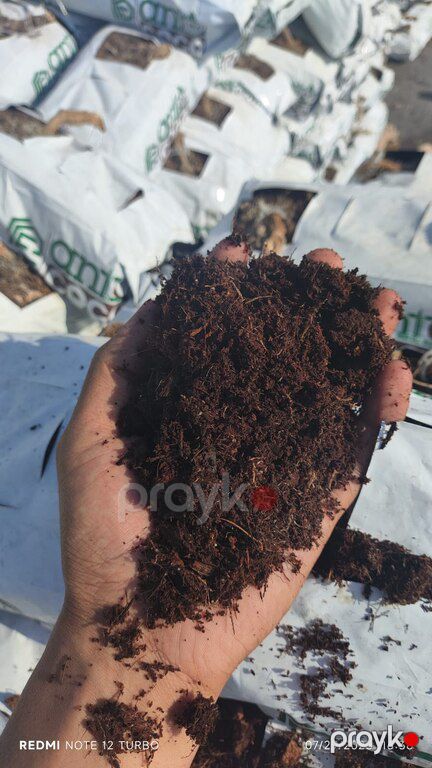Peyin, torf, torpaq — Dacha və bağ, Bakı (6)