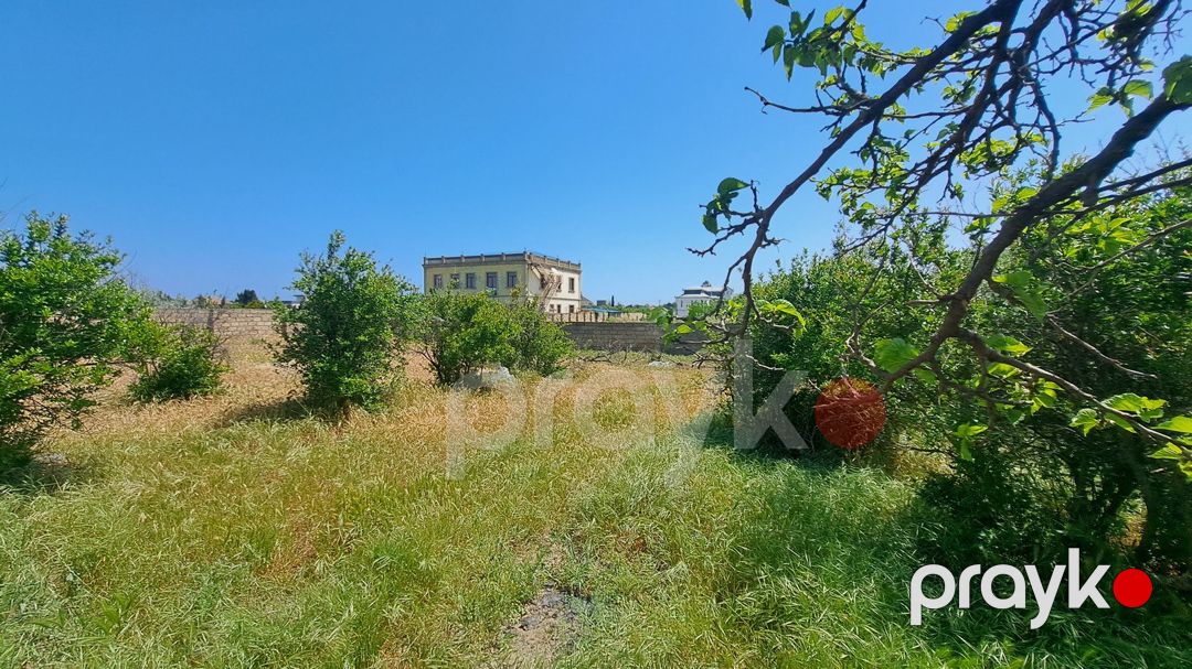 Satılır torpaq 6 sot — Torpaq, Bakı (2)