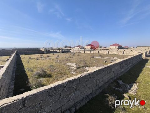 Tikinti, Kupça (Çıxarış) — Bakı