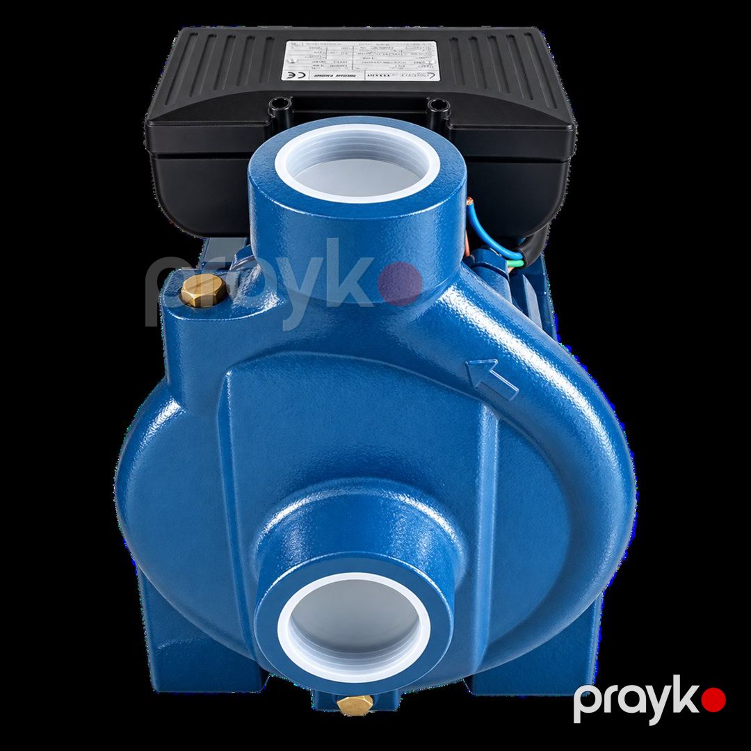 Su nasosu Aquaplus P2C 50-180/75 — Dacha və bağ, Bakı (2)