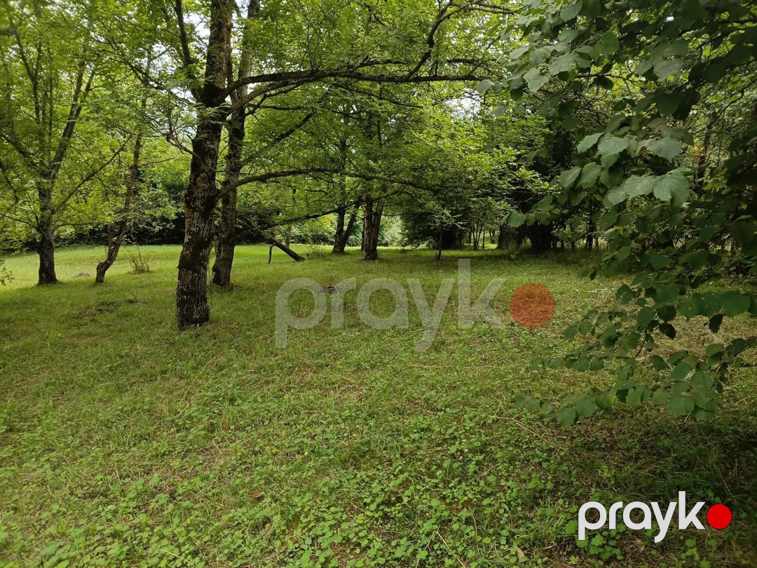 15 sot torpaq sahəsi, Quba r — Torpaq, Quba (12)