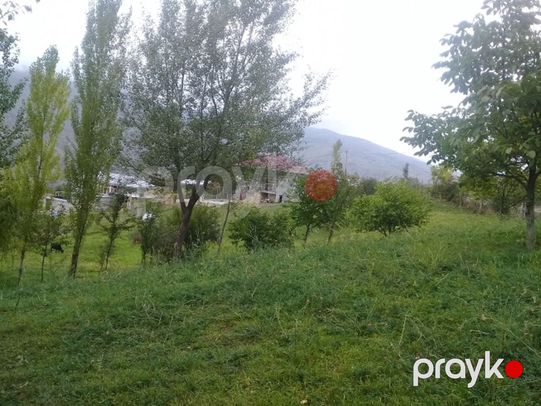 Satılır torpaq 16 sot — Torpaq, İsmayıllı (11)