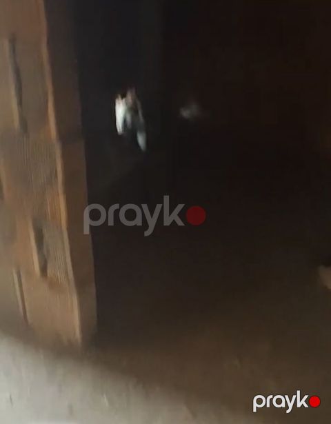 Binəqədi qəs., 2 otaqlı, Yeni tikili, m. Azadlıq Prospekti, 42 kv. m — Bakı