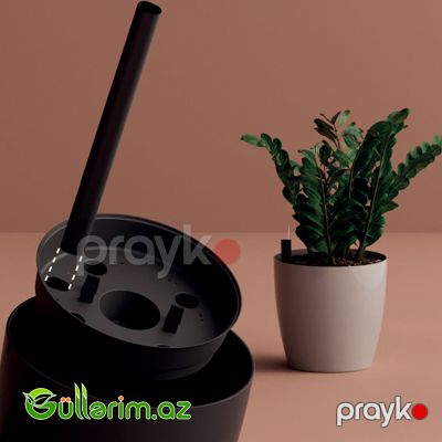 Plastik Dibçək 09 — Bağ dekorasiyası, Bakı (7)