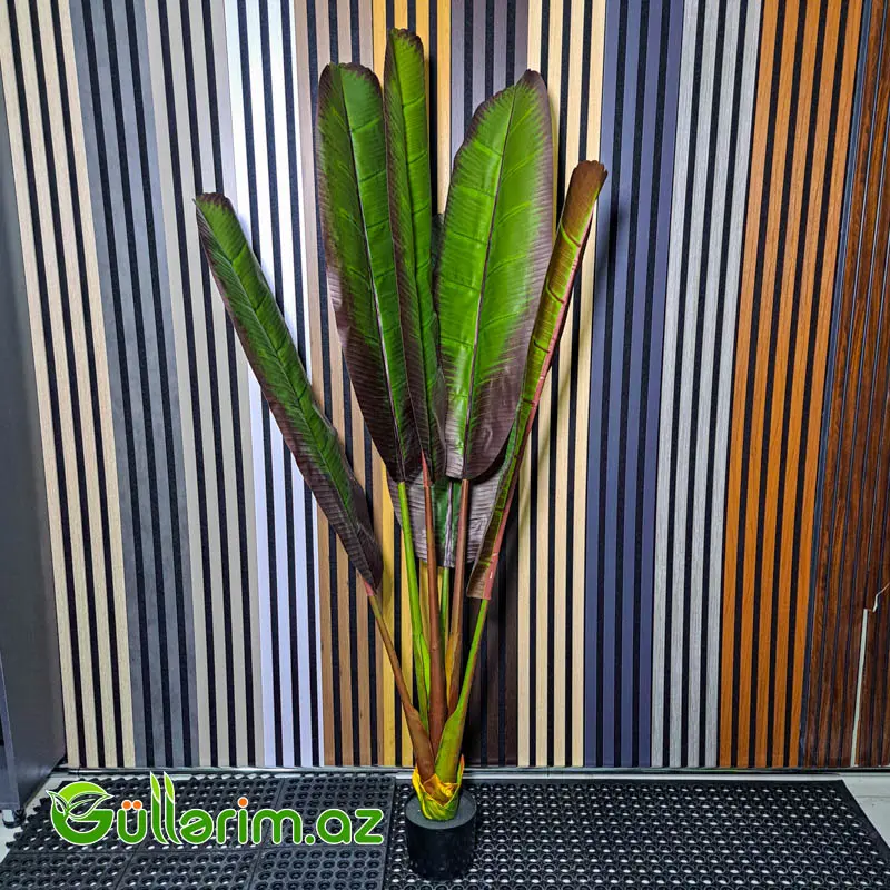 Süni Banana Bitkisi (Artificial Banana Plant) — Bakı