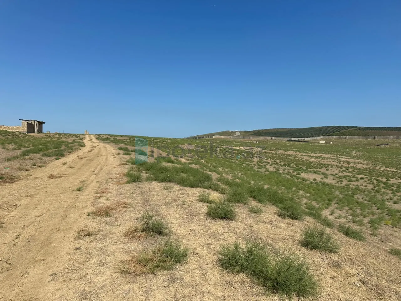 Satılır: Torpaq, Abşeron r., Mehdiabad q., 12.00 sot — Torpaq, Mehdiabad (4)
