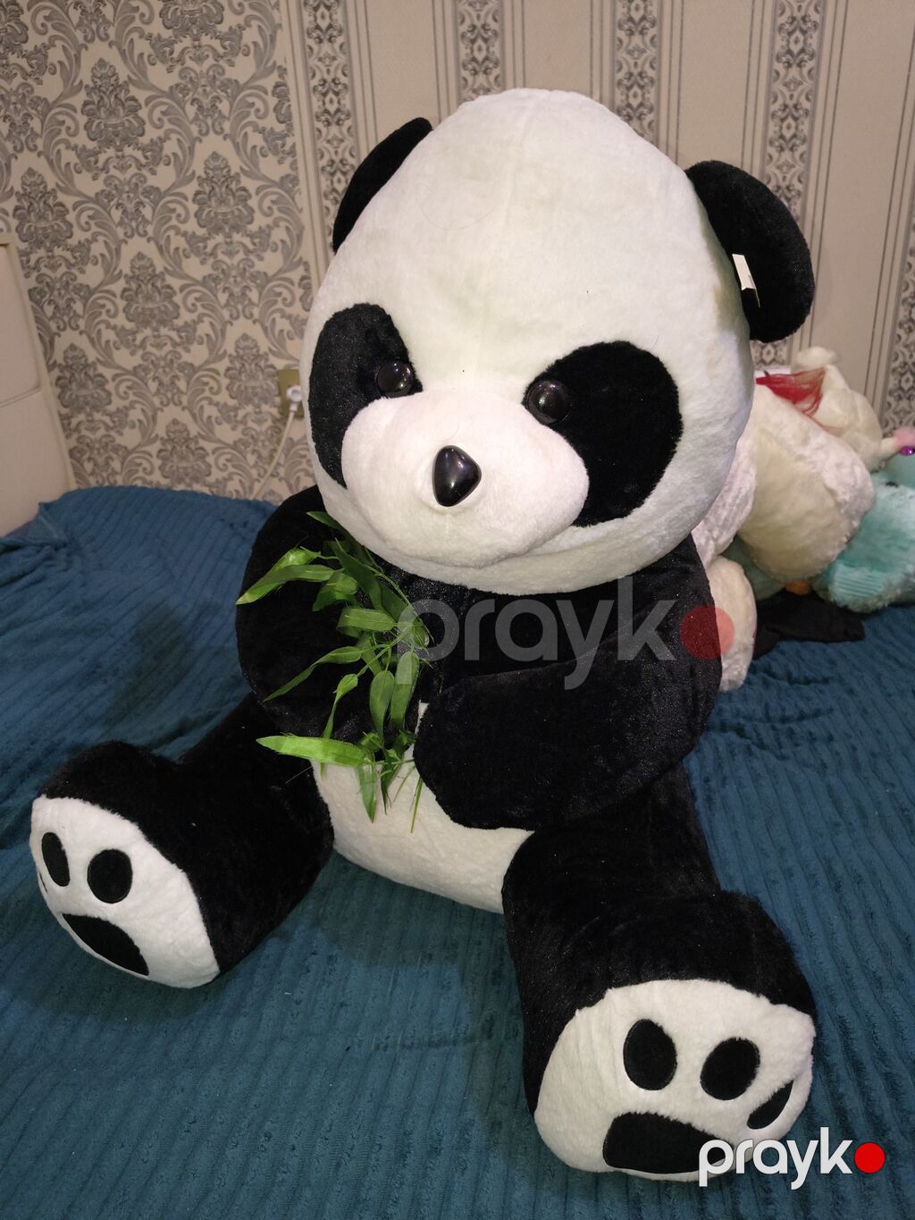 Boyuk olculu panda — Yumşaq oyuncaqlar, Masazır (3)