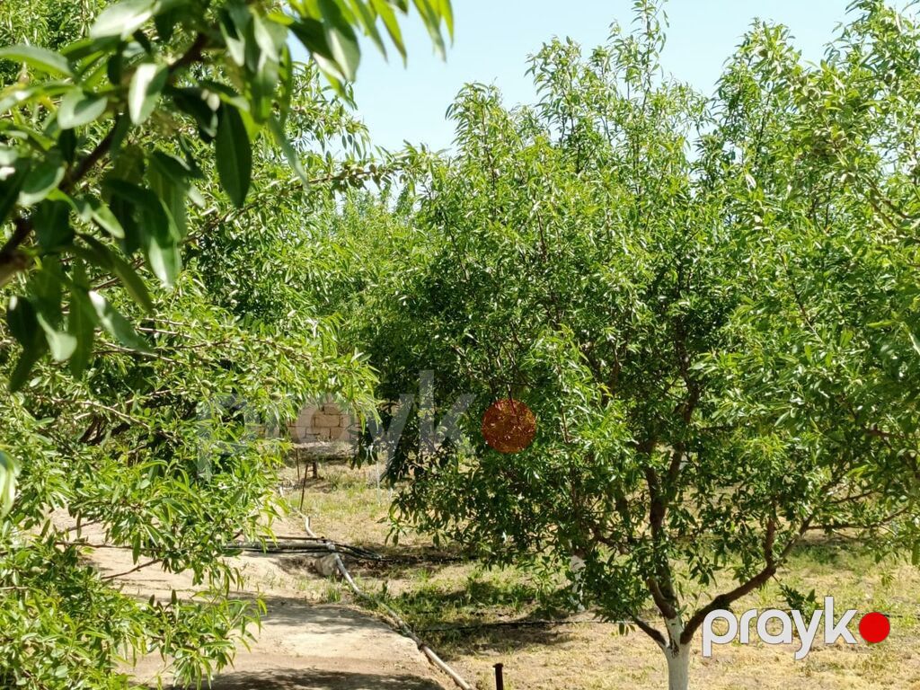 24 sot, Texniki pasport — Torpaq, Bakı (6)