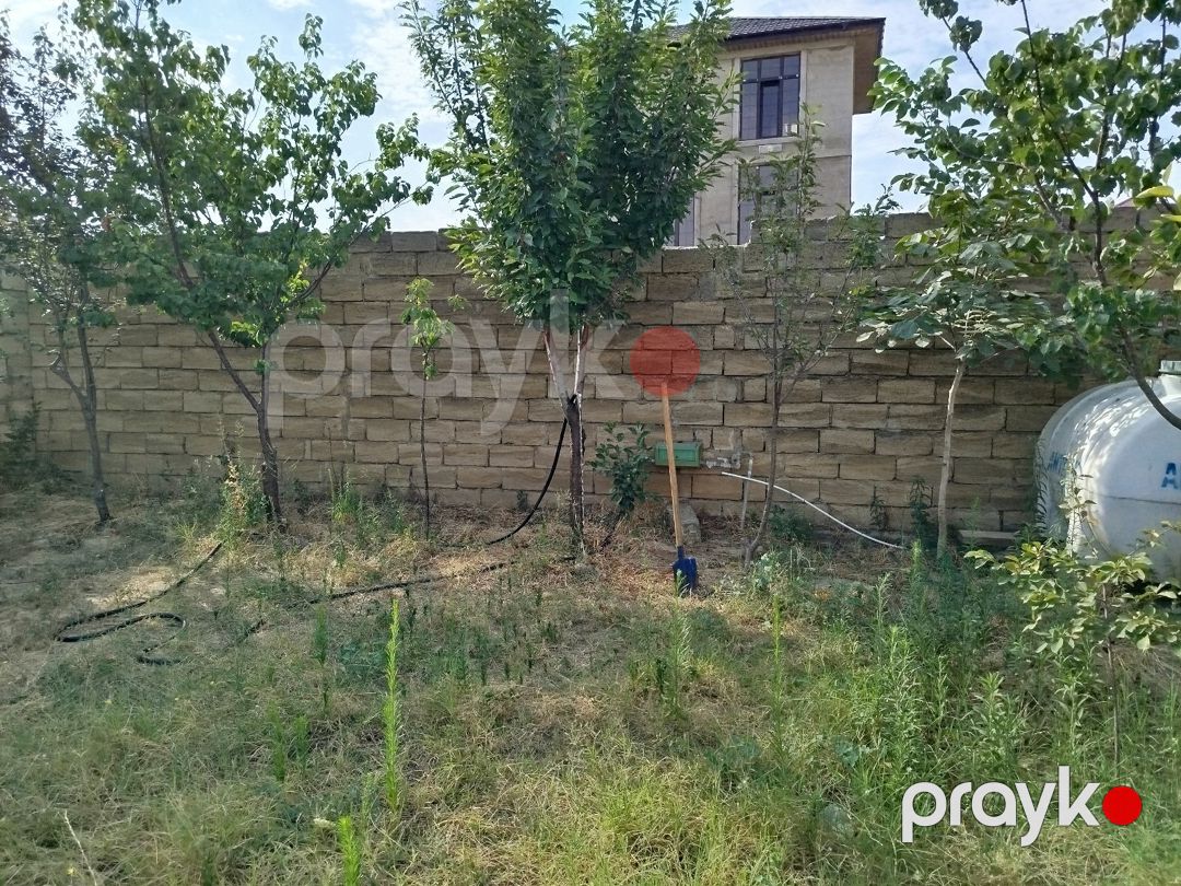 Həyət evi, Saray qəs — Ev, villa, Bakı (6)