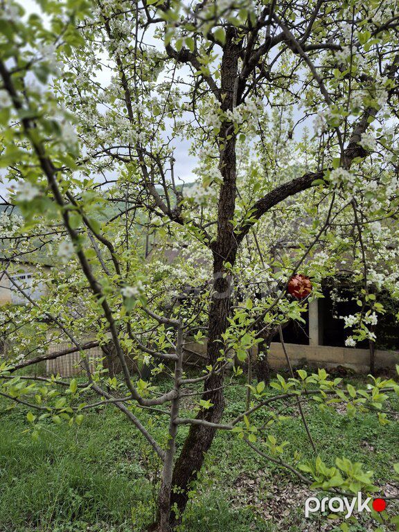 25 sot torpaq sahəsi, Quba r — Torpaq, Quba (12)