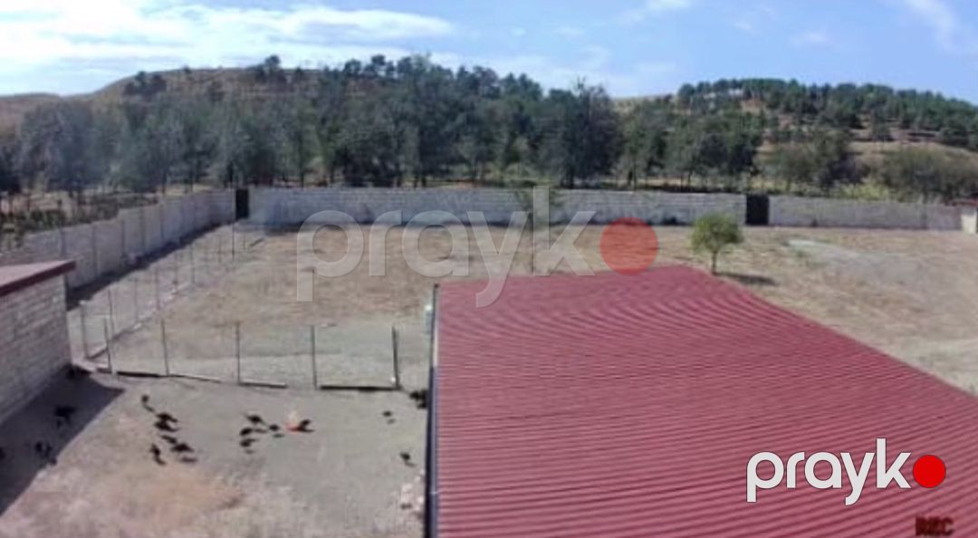 57 sot torpaq sahəsi, Şabran r — Torpaq, Şabran (3)