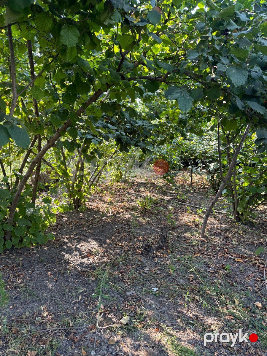 4 sot torpaq sahəsi, Xudat ş — Torpaq, Xudat (10)