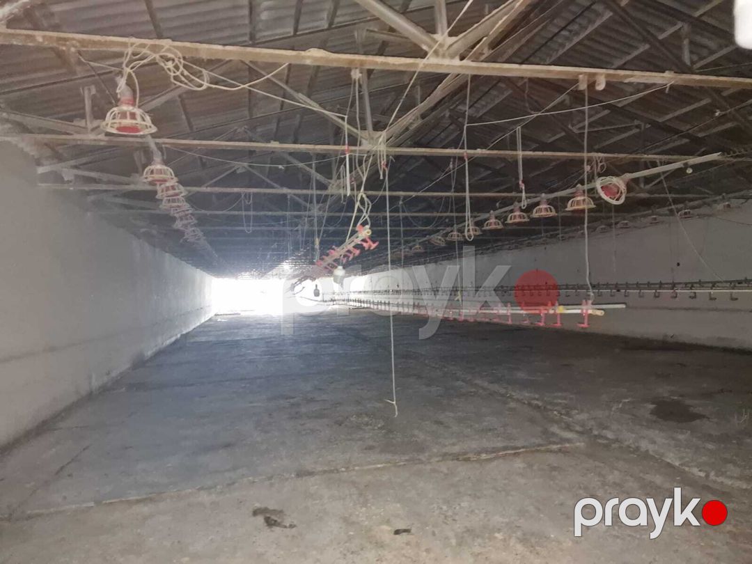 İcarəyə verilir obyekt 780 m² — Əmlak, Bakı (4)