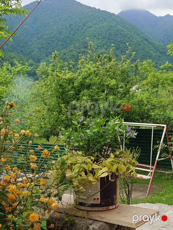Villa kirayə verilir, Qəbələ ş — Ev, villa, Qəbələ (12)