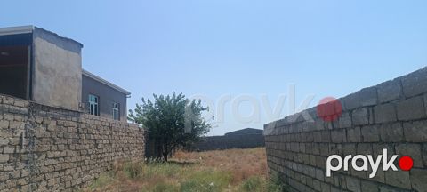 Satılır torpaq 10 sot — Bakı