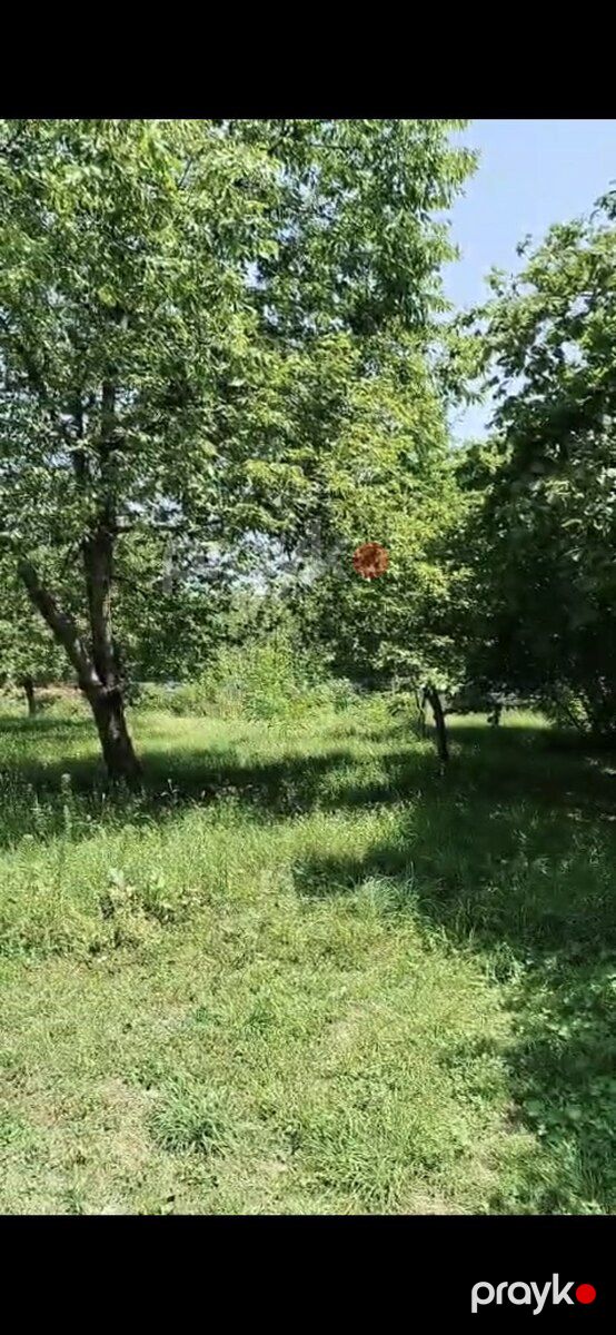 5 sot torpaq sahəsi, Qəbələ r — Torpaq, Qəbələ