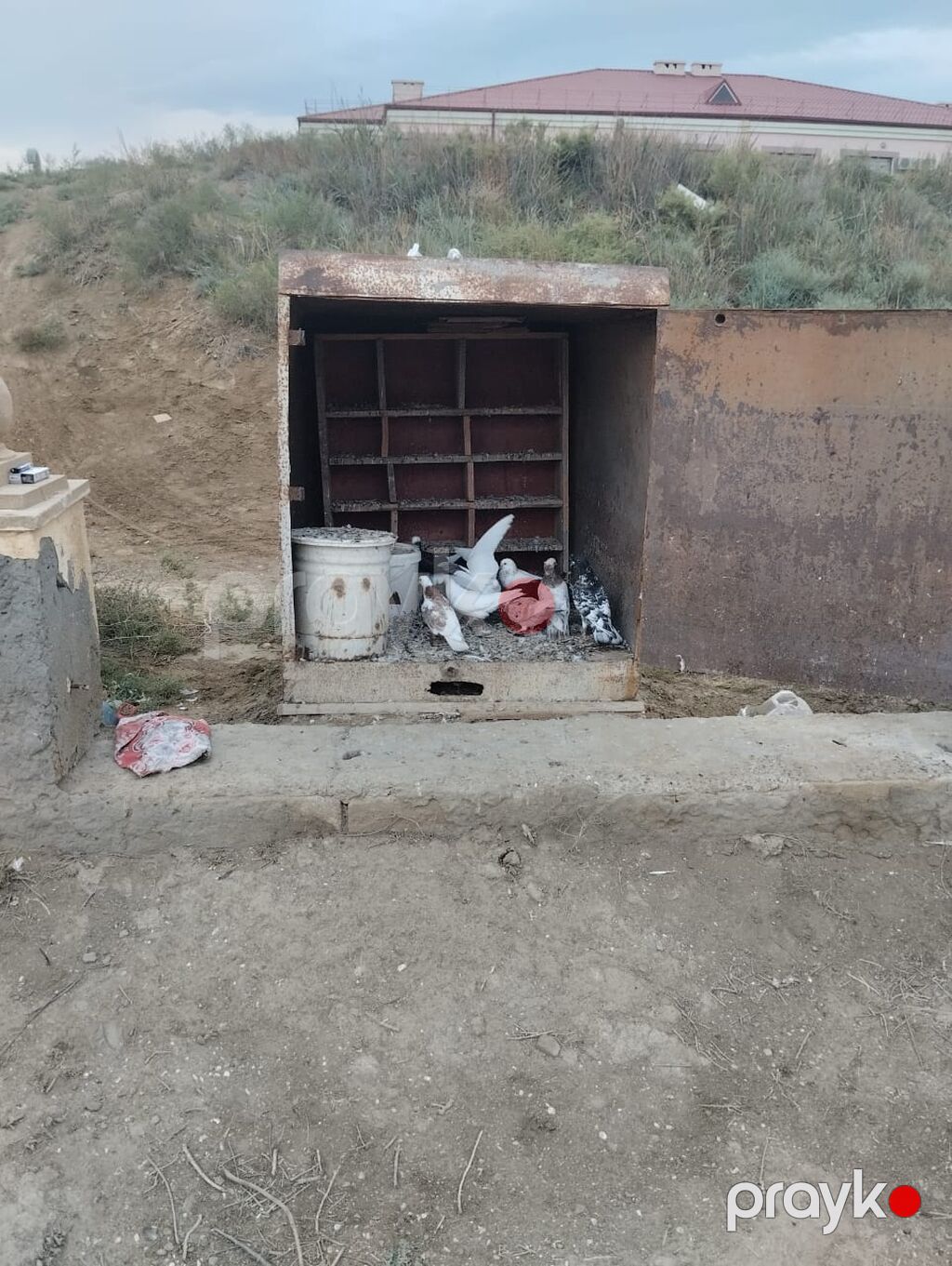 Qusxana Qaradağ Rayon umid qesebesindedi elaqe 070-292-15-48 isdyen — Hazır konstruksiyalar, Bakı (6)