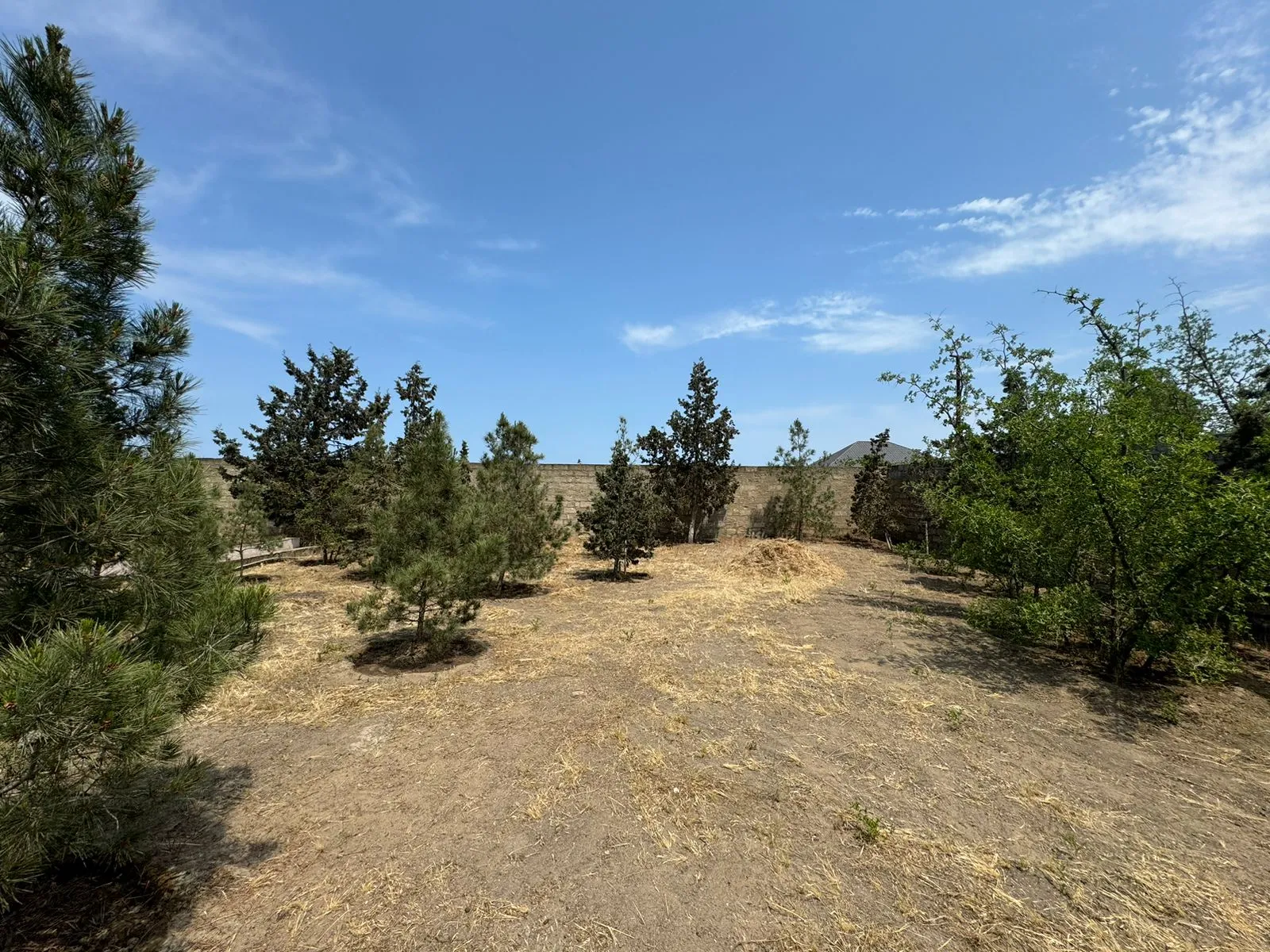 Şüvəlan, Torpaq satılır - 14 sot — Torpaq, Bakı (10)
