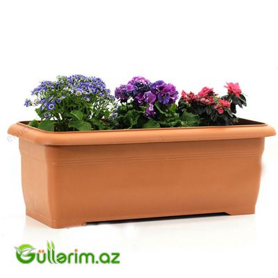 Plastik Dibçək 015 — Bağ dekorasiyası, Bakı (7)