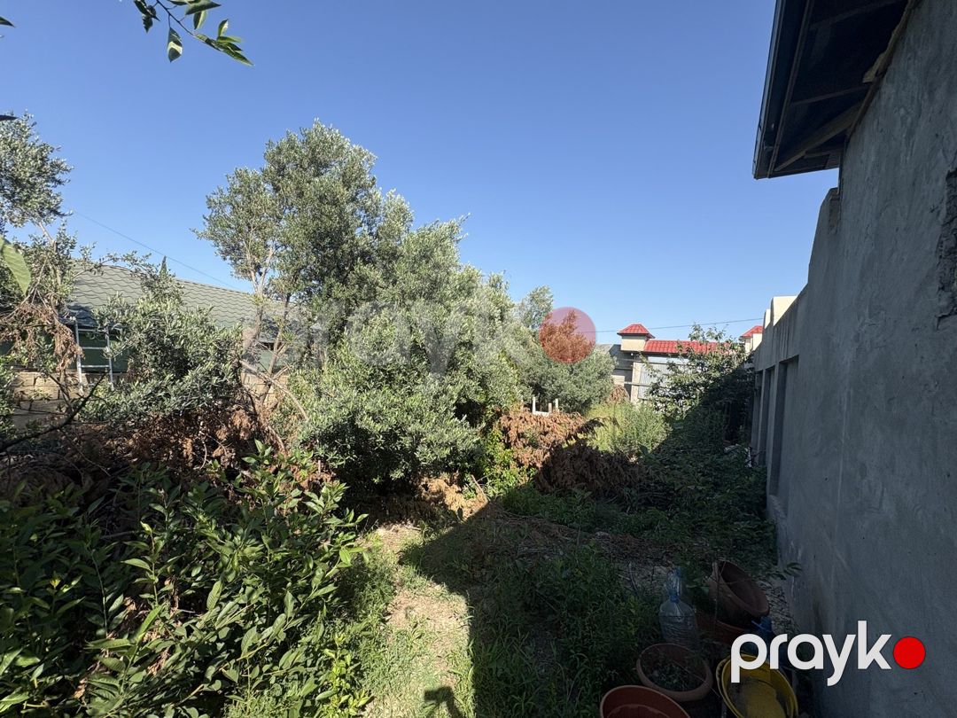 Satılır torpaq 6 sot — Torpaq, Bakı (3)