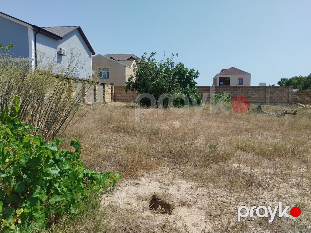 20 sot, Tikinti, Makler, Kupça (Çıxarış) — Torpaq, Bakı (2)