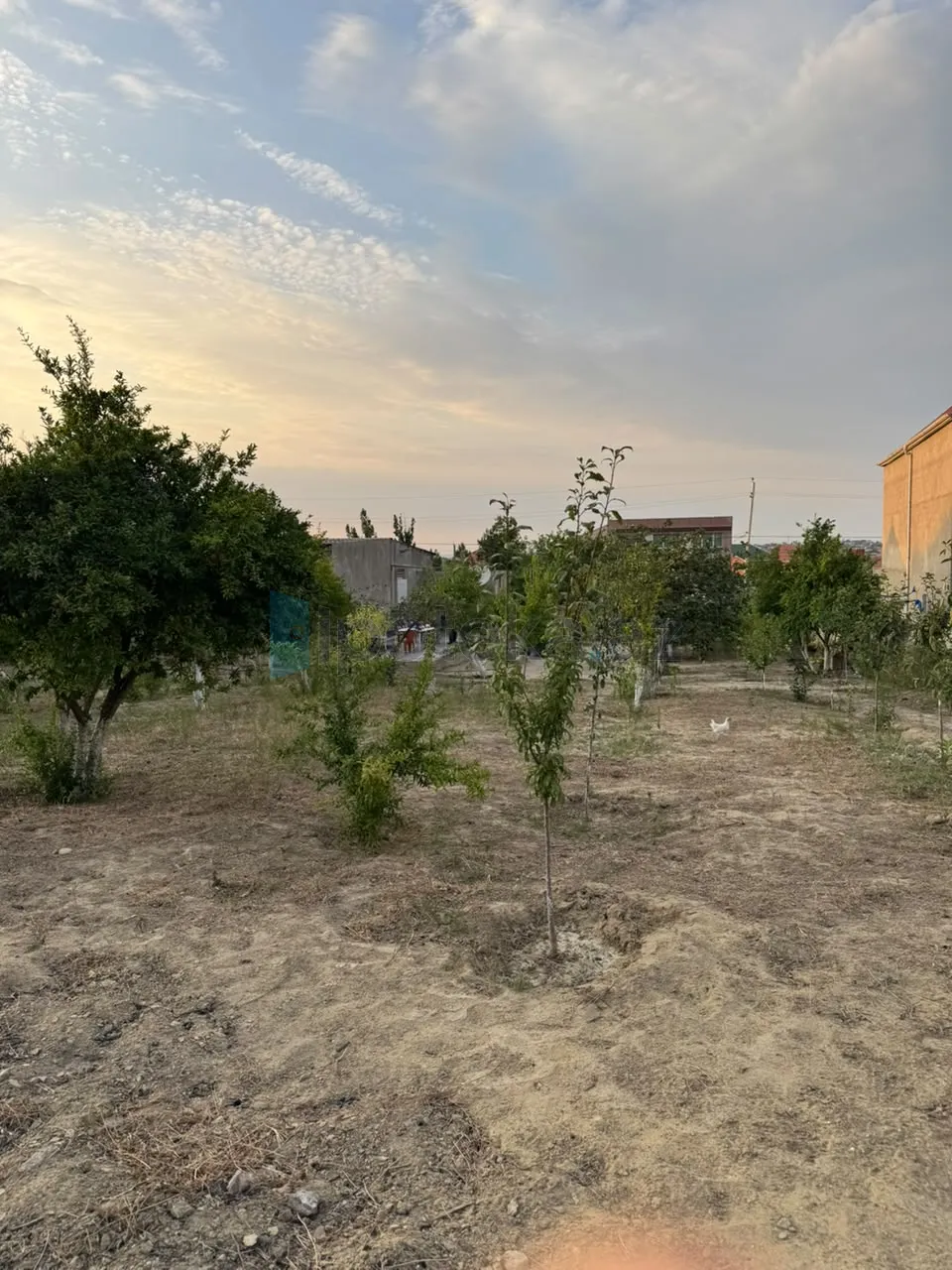 Satılır: Torpaq, Abşeron r., Masazır q., 12.00 sot — Torpaq, Saray (3)