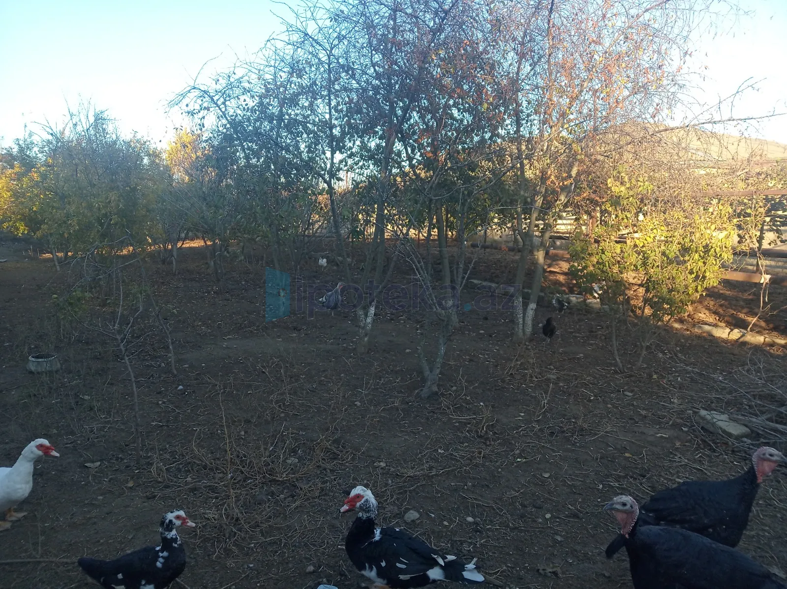 Satılır: 3 Otaq, Evlər/Villalar, Xəzər r., Qala q., 100.00 m² — Ev, villa (6)