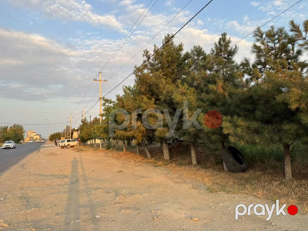 12 sot torpaq sahəsi, Saray qəs — Torpaq, Bakı (5)
