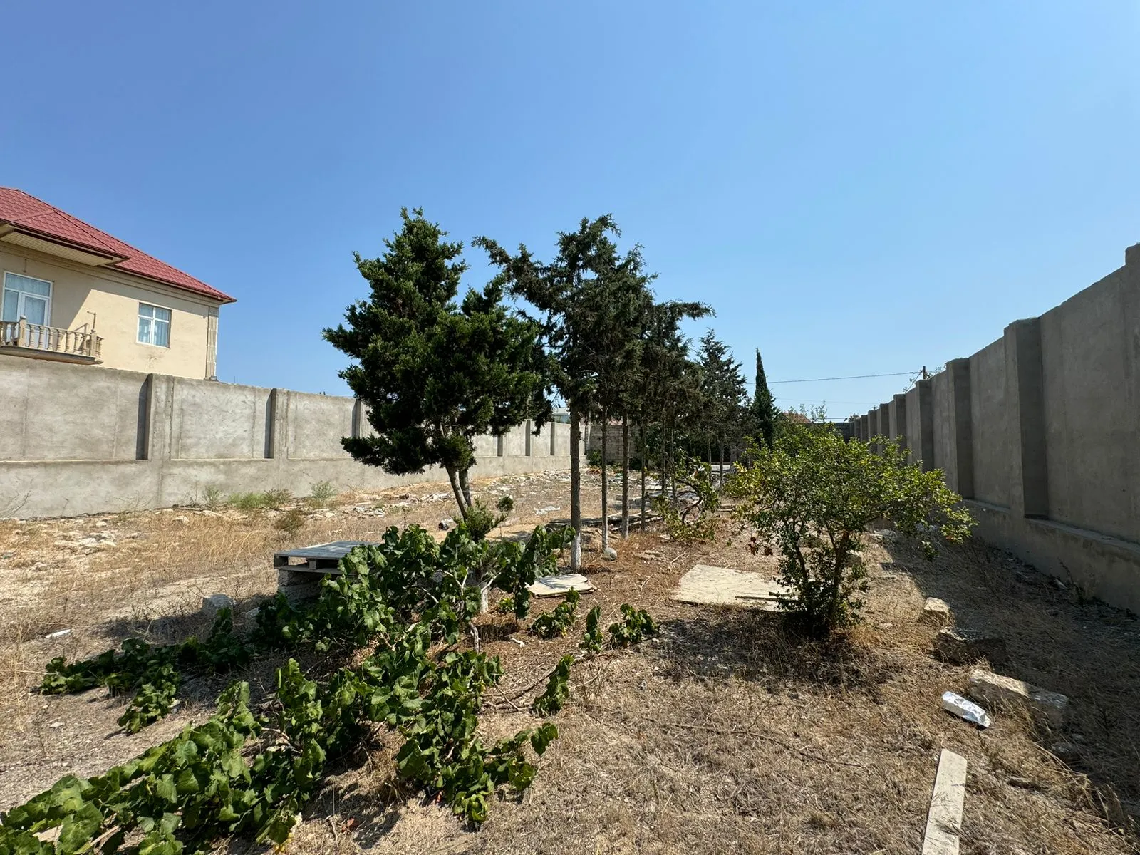 Şüvəlan, Torpaq satılır - 6.43 sot — Bakı