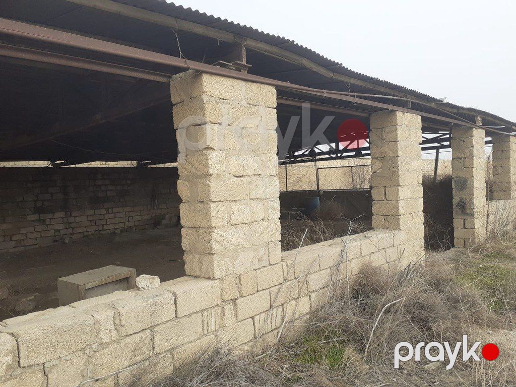 Satılır torpaq 200 sot — Torpaq, Bakı (12)